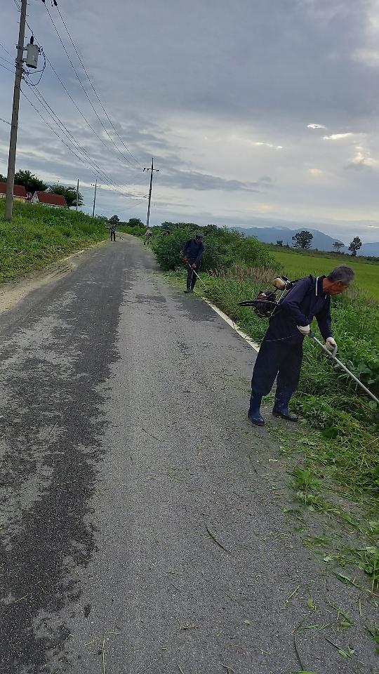 삼산면_추석맞이_제초작업