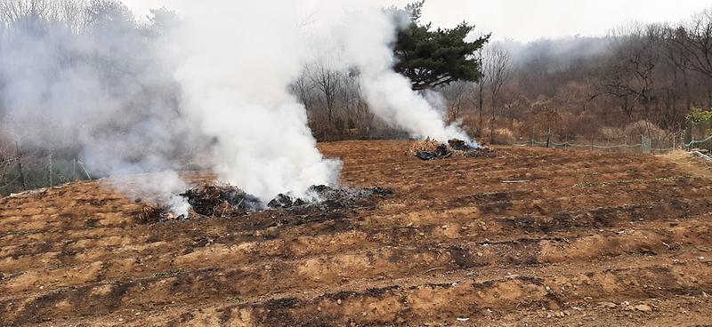 삼산면,_소각행위_단속