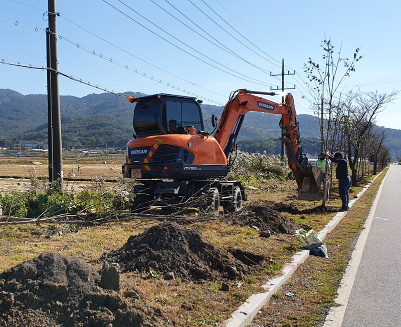 산림공원과_가로수작업