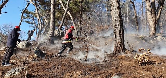산림공원과_산불진화_사진