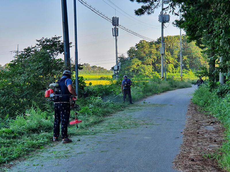 서도면_환경정비_활동