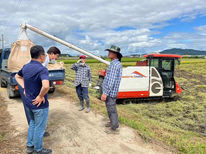 선원면_첫벼베기현장_2