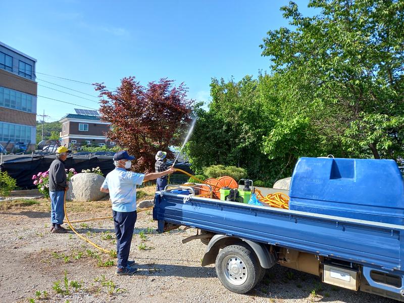 선원면_돌발해충_방제