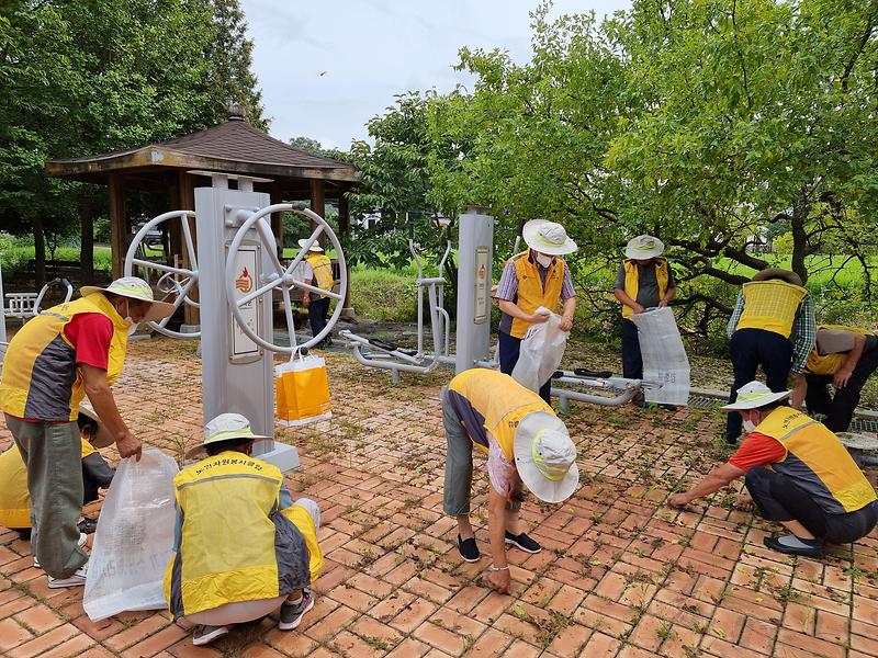 선원면_노인자원봉사클럽_환경정비