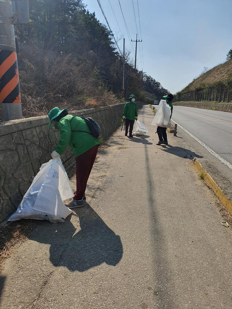 선원면_새마을부녀회_정화활동