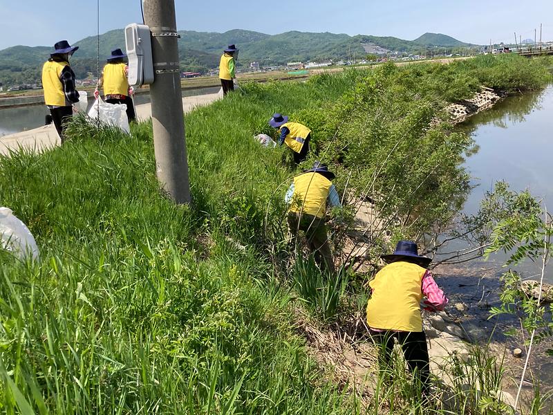 송해면_자원봉사회_환경정화