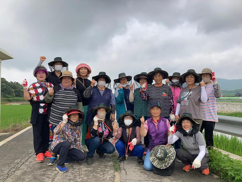 송해면_농가주부모임_환경정화