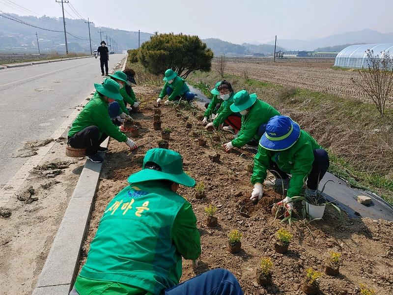 송해면_새마을부녀회_꽃길조성