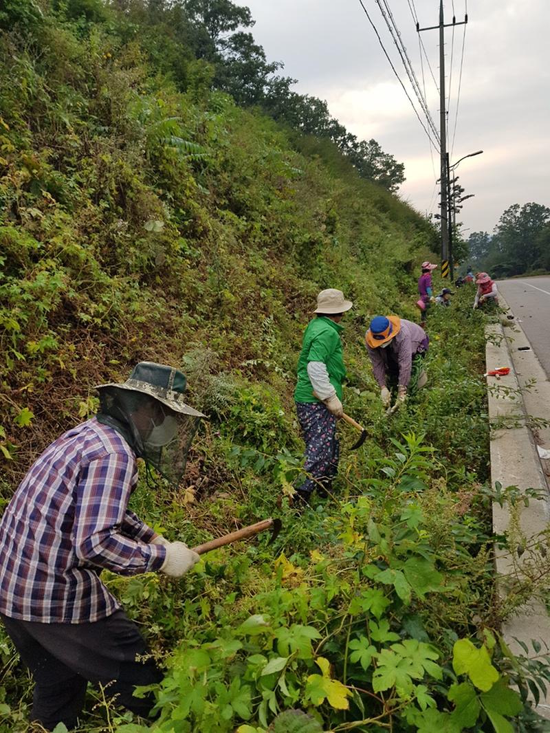 양도면_가로화단_정리작업