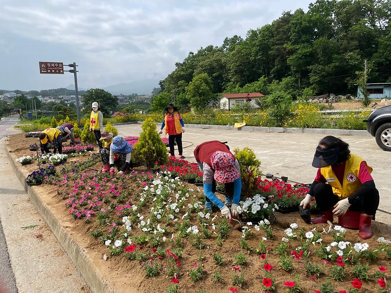 양도면_적십자_꽃심기