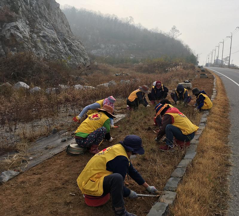 양도면_적십자부녀회_환경정비