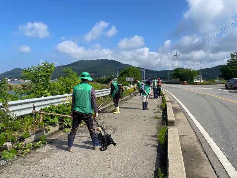 양도면_새마을지도자_제초작업