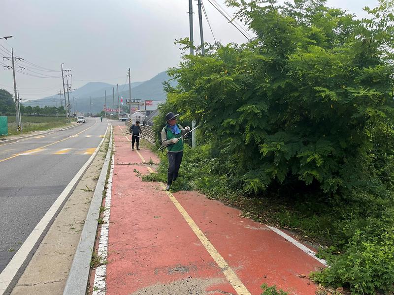 양도면_새마을지도자협의회_제초작업