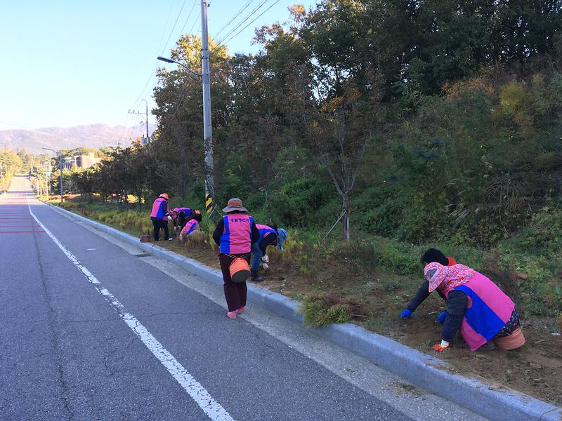 양도면_생활개선회,_하우고개_가로화단_정비