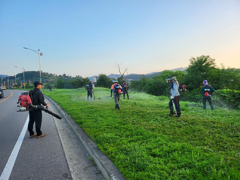 양도면_의용소방대_제초작업