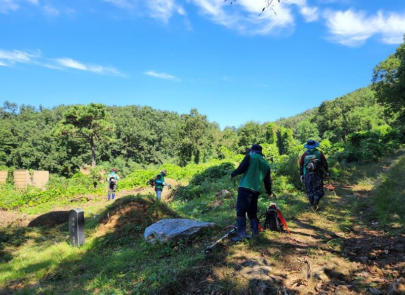 양도면새마을지도자협_공설묘지_환경정비