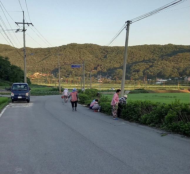 양사면_덕하3리_환경정화