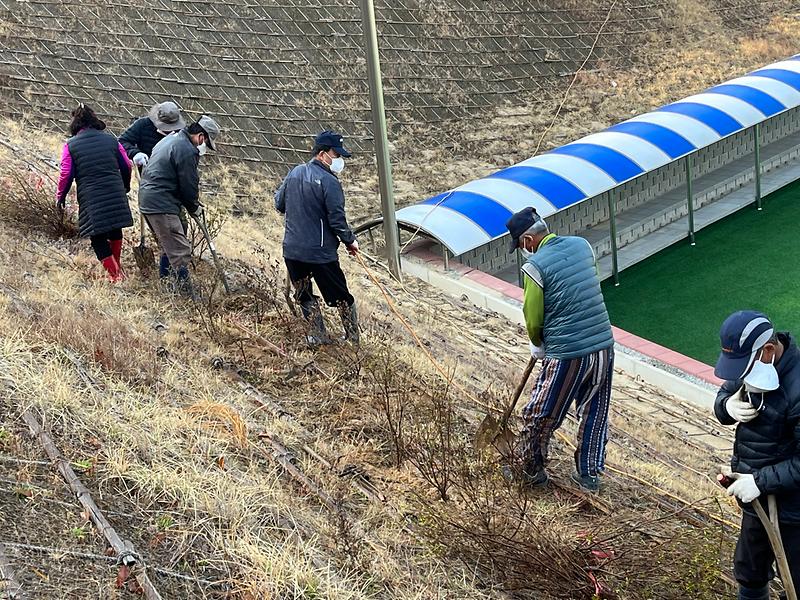 양사면_그라운드골프회_꽃동산_조성