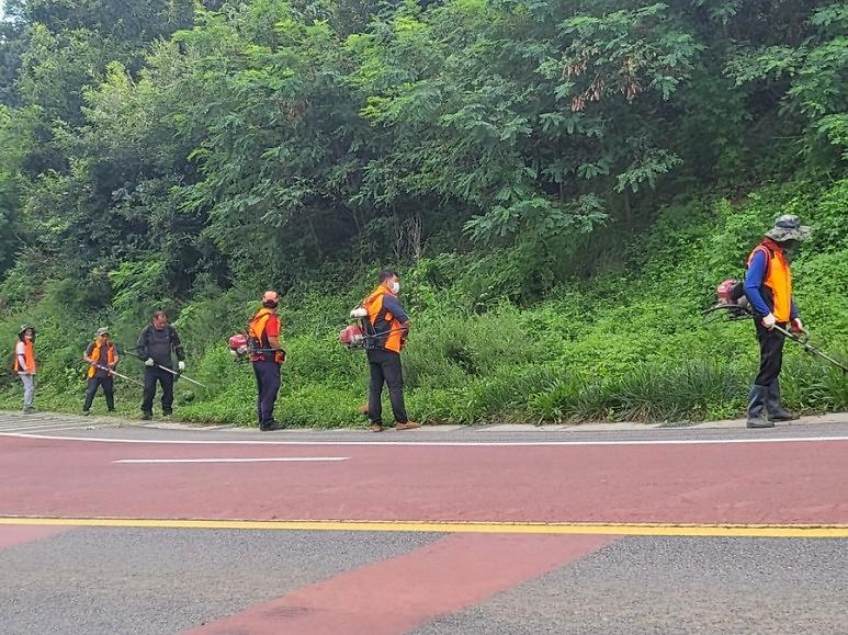 양사면_환경정화활동