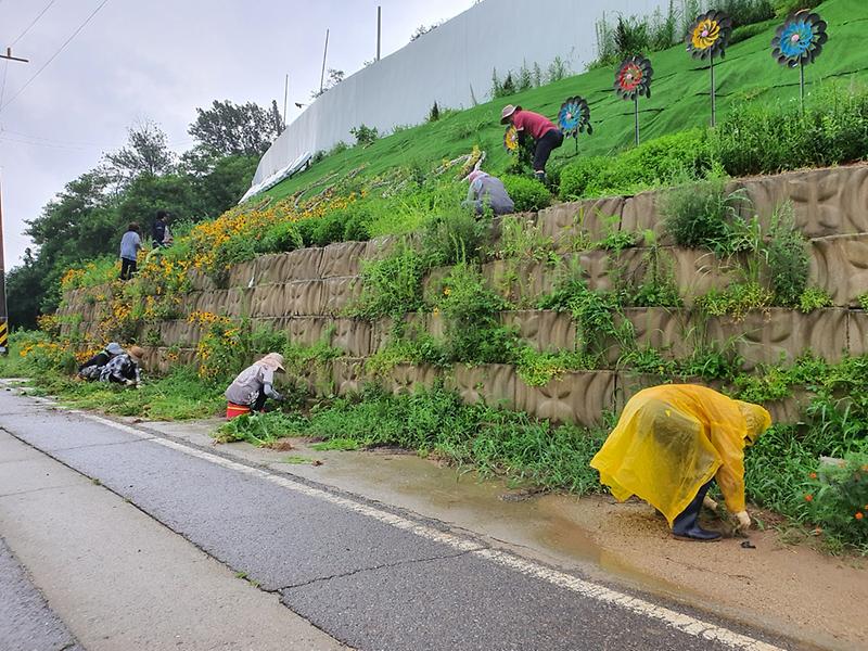 양사면_지역사회보장협의체_환경정비