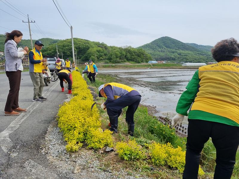 양사면_노인자원봉사클럽_환경정화