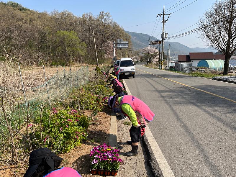 양사면_생활개선회_꽃_식재