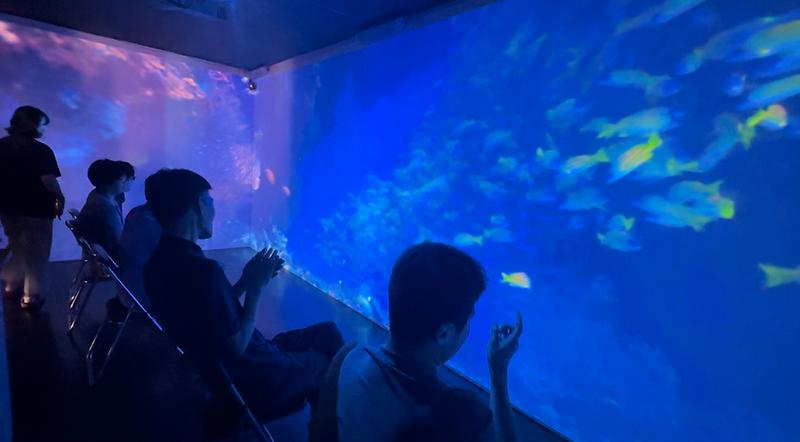 아쿠아리움_시네마틱_영상
