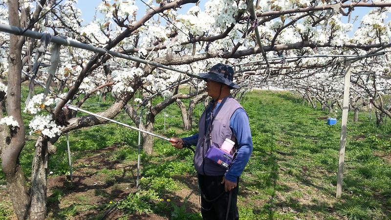 봄철_저온피해_예방_(2)