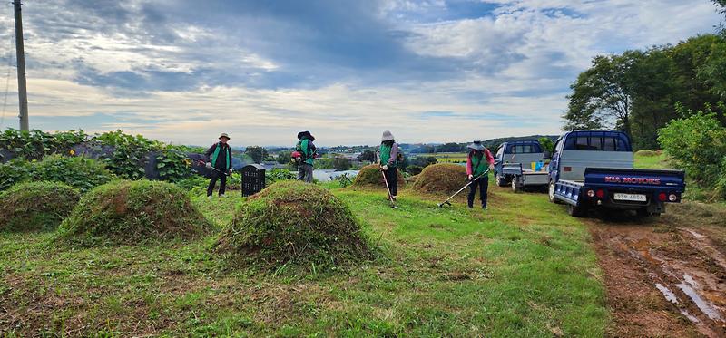 불은면_공설묘지_정비