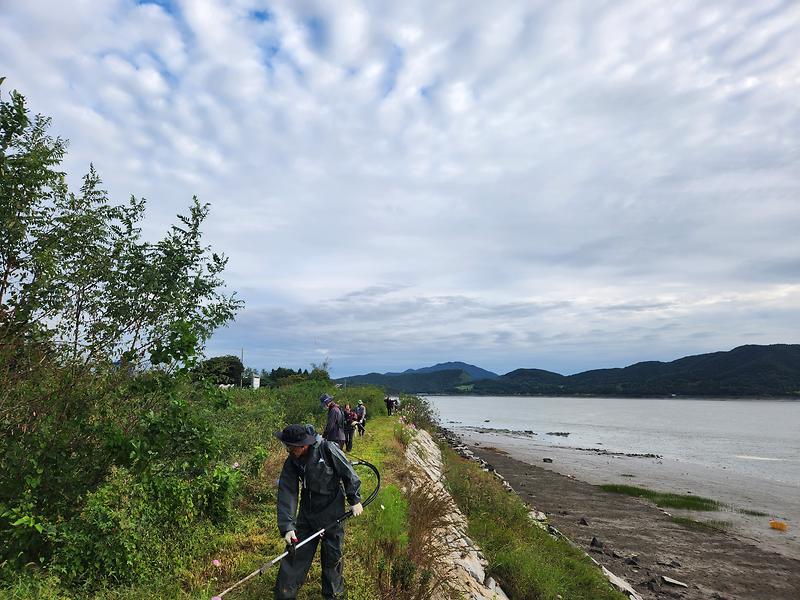 불은면_이장단,_추석맞이_나들길_제초_(1)