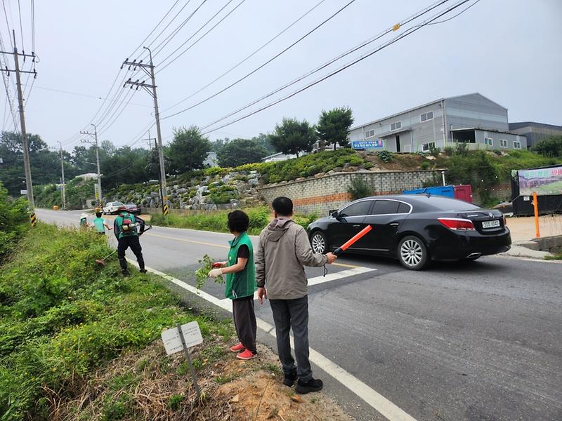 불은면_제초작업_현장사진2