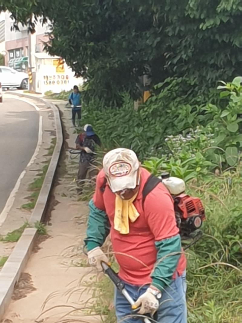 불은면_주민자치위원회_제초