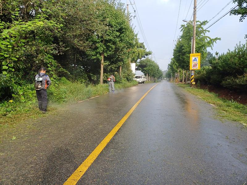 불은면_주민자치위원회_제초작업_(1)