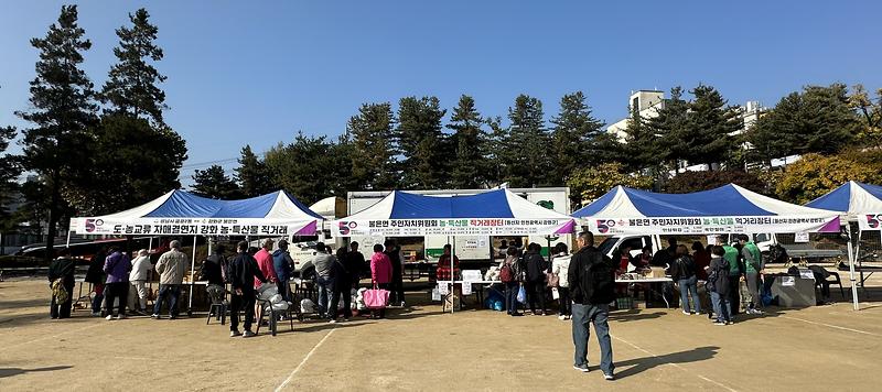 불은면_주민자치위원회,_직거래_장터_(2)