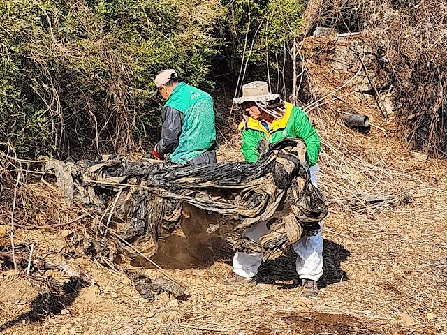 불은면_새마을지도자_영농폐비닐_수거