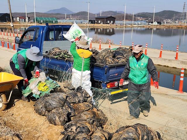 불은면_새마을지도자_영농폐비닐_수거