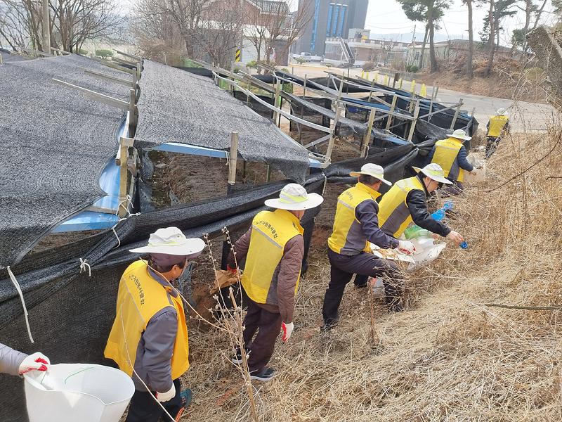 대한노인회_선원면분회_노인자원봉사단_환경정화_(2)