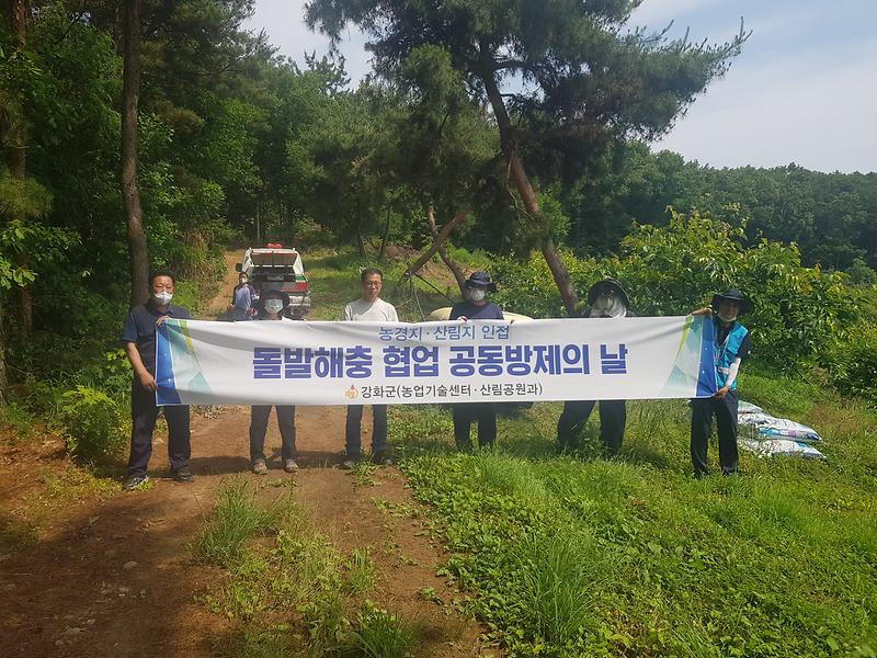 돌발해충_협업방제_(3)