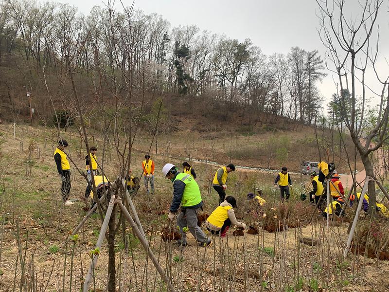 도심속_나무심기_(2)