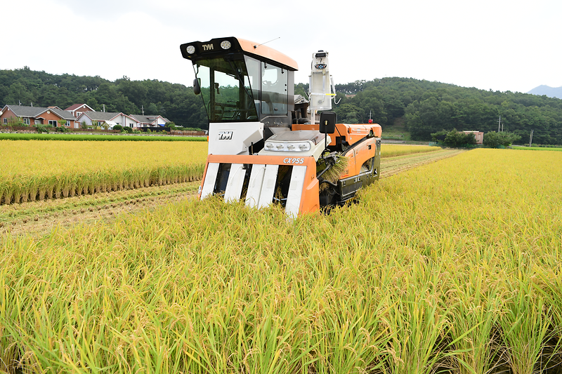 강화군,_기본형_공익직불금_순차_지급합니다!…227억_원_규모_(1)