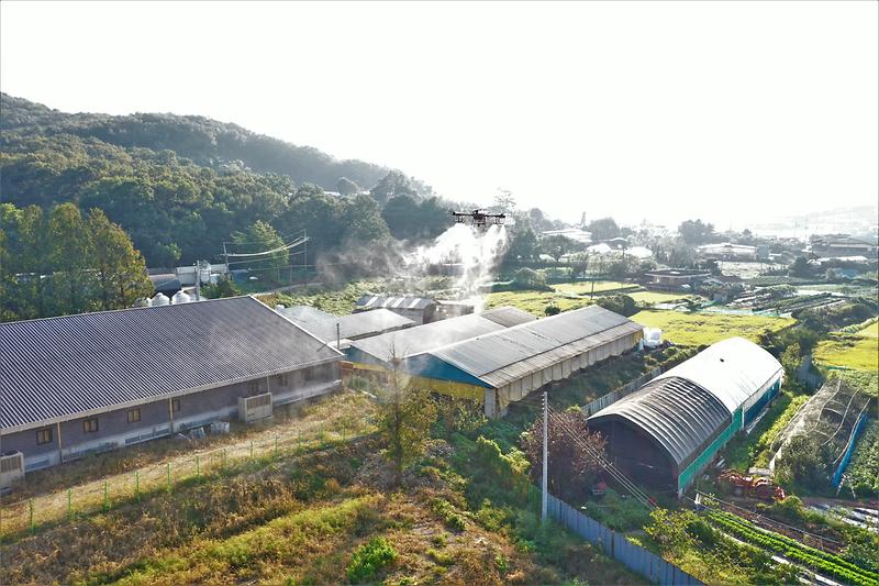 강화군,_고병원성_AI_특별방역_대책_추진_2