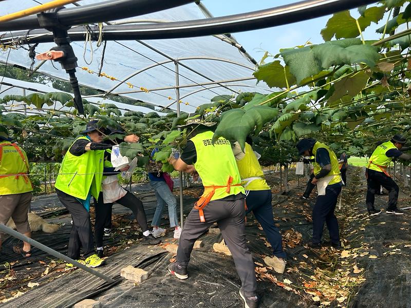 강화군시설관리공단__여름_농촌봉사활동_실시_(2)