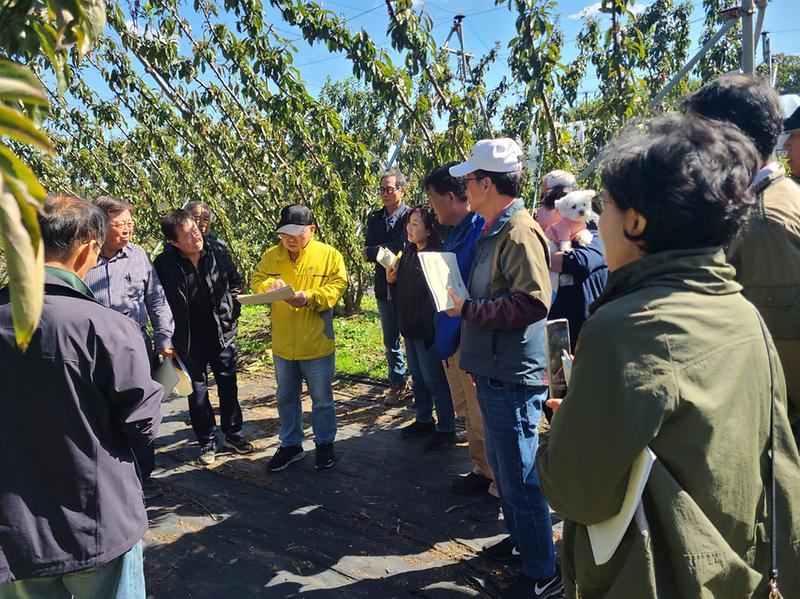 강화섬자두_영농현장_컨설팅_(2)