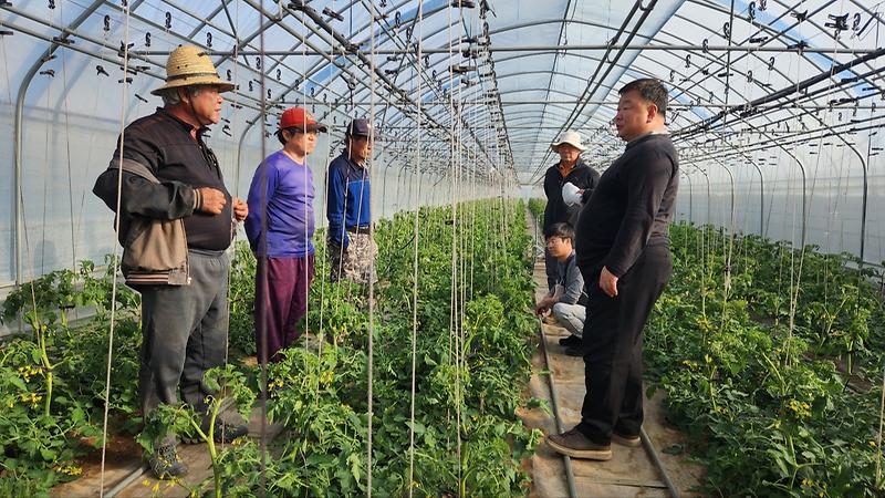 강화섬토마토_현장_컨설팅_(3)