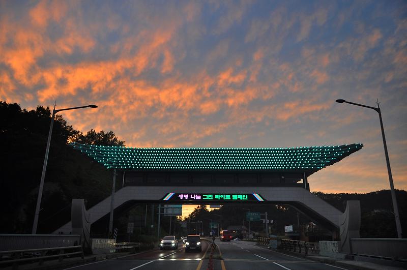 그린라이트캠페인