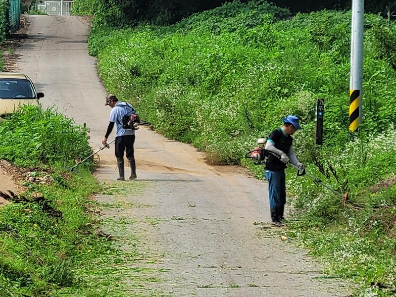 길상면_길직1리_제초작업
