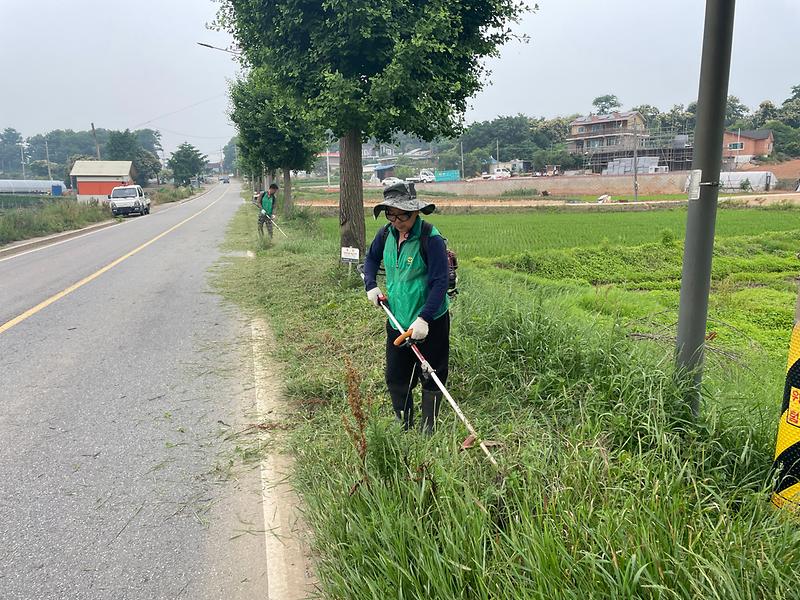 길상면_새마을지도자협의회,_제초작업