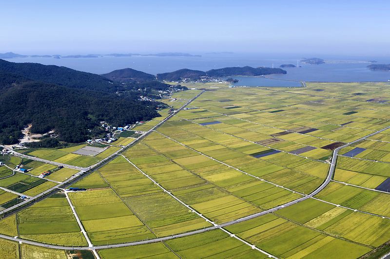 공익직불_부정수급_점검