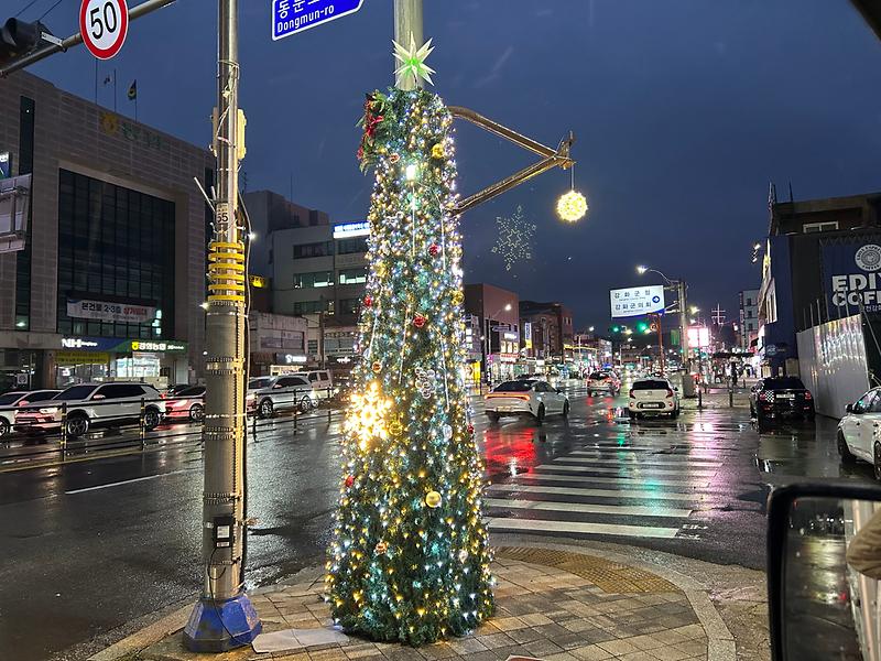 경관조명(수협_사거리_그늘막_트리)