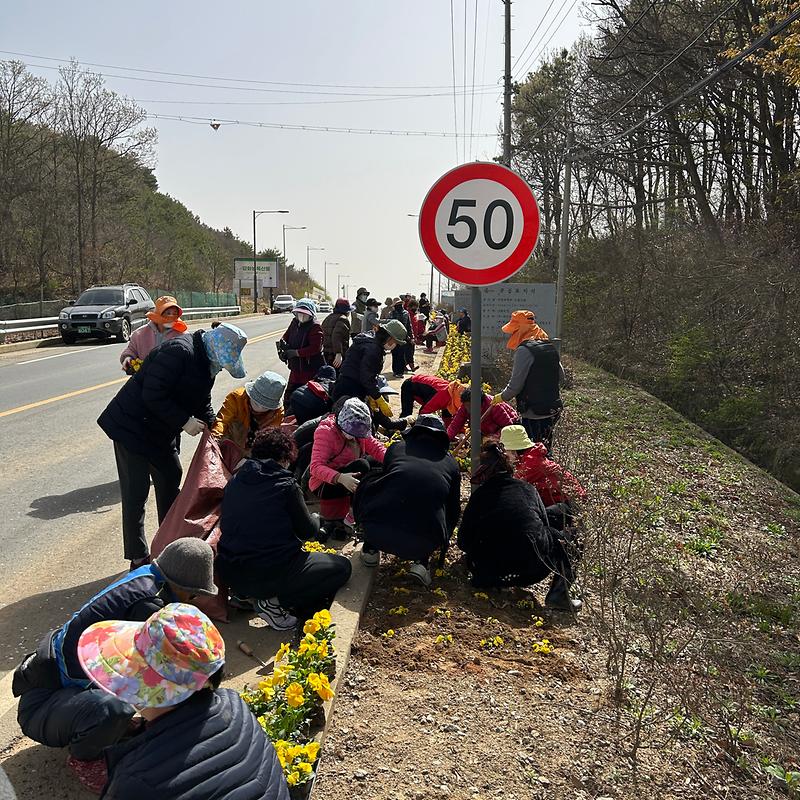 교동대교_입구_꽃길조성_(1)
